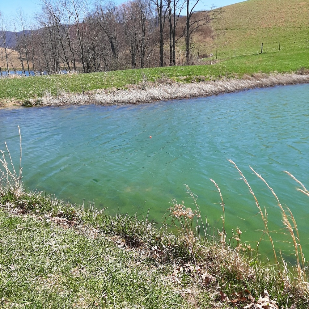 Meet your Posher, Tina